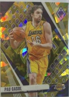 Pau Gasol