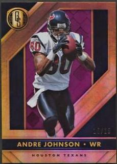 Andre Johnson