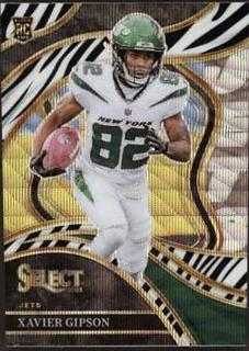 Xavier Gipson