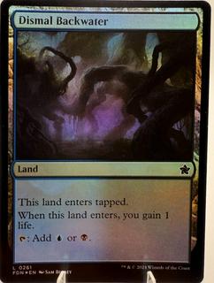 Dismal Backwater