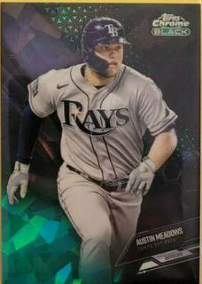 Austin Meadows