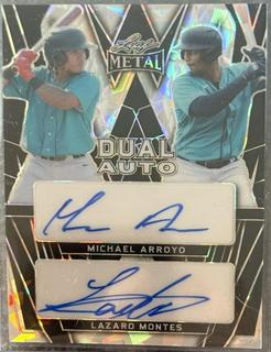 Michael Arroyo / Lazaro Montes