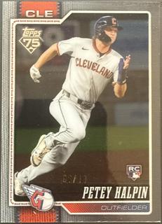 Petey Halpin