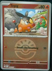 Tepig [Ball] #29