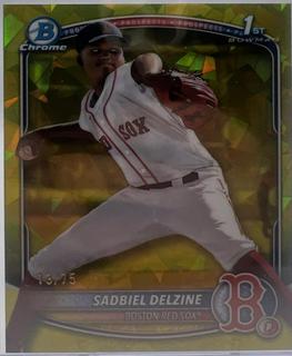 Sadbiel Delzine