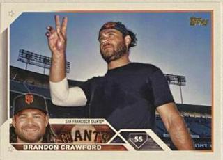Brandon Crawford