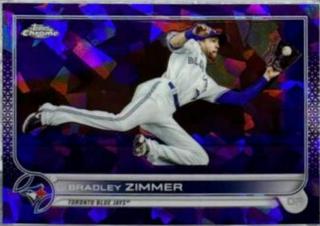 Bradley Zimmer