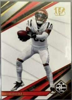 Tee Higgins