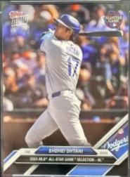 Shohei Ohtani