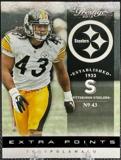 Troy Polamalu