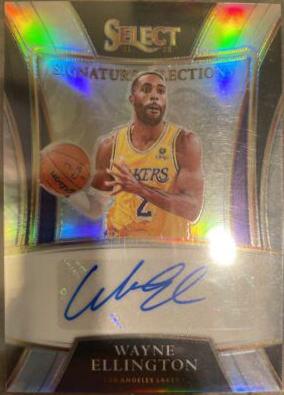 Wayne Ellington #SS-WEL Basketball Cards 2021 Panini Select Signature Selections