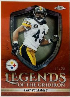 Troy Polamalu