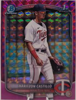 Haritzon Castillo