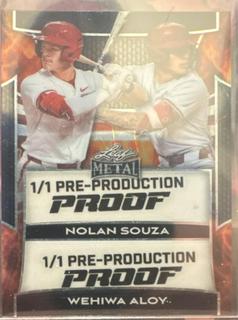 Nolan Souza / Wehiwa Aloy
