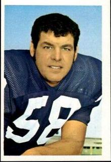 Wally Hilgenberg