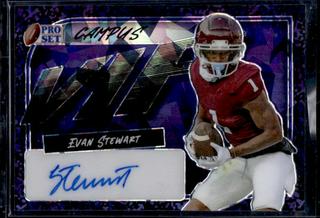Evan Stewart