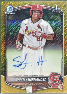 Sammy Hernandez