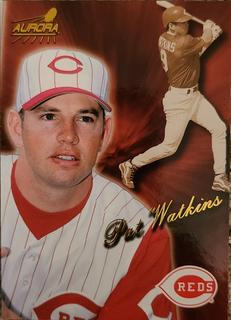 Pat Watkins