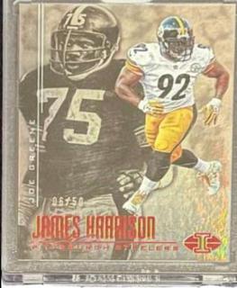 James Harrison, Joe Greene