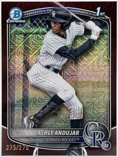 Ashly Andujar