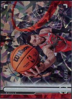 Zach LaVine