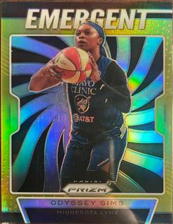 Odyssey Sims