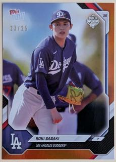 Roki Sasaki