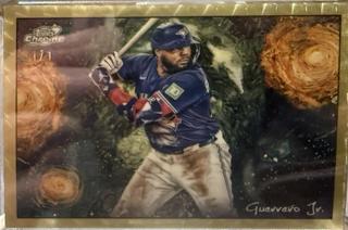 Vladimir Guerrero Jr.