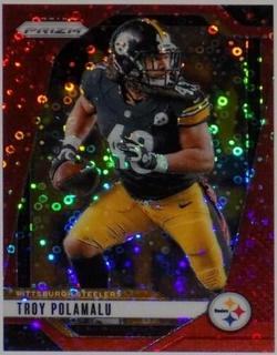 Troy Polamalu