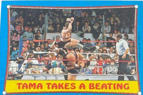 Demolition, Islanders #41 Wrestling Cards 1987 Topps WWF