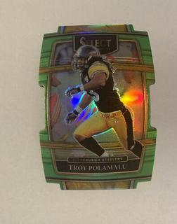 Troy Polamalu