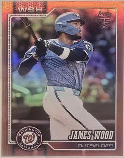 James Wood