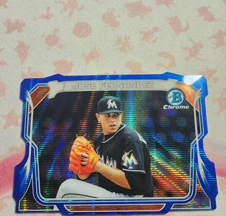 Jose Fernandez