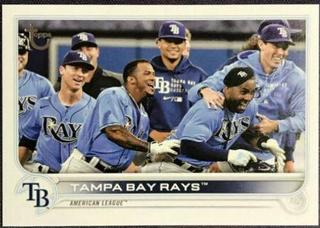 Tampa Bay Rays