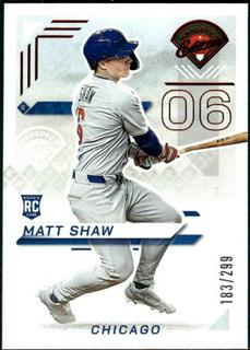 Matt Shaw