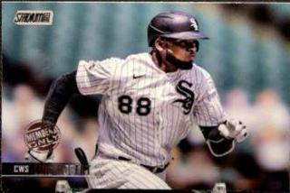 Luis Robert