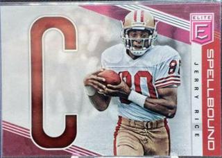Jerry Rice