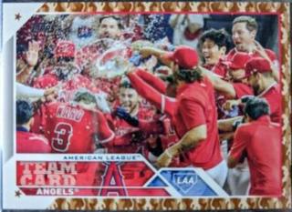 Los Angeles Angels