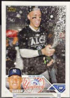 Aaron Judge