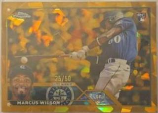 Marcus Wilson