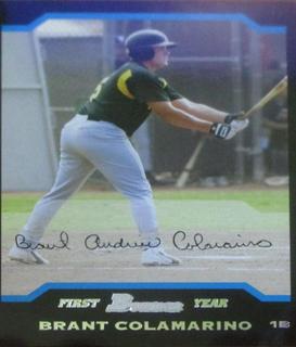Brant Colamarino