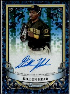 Dillon Head