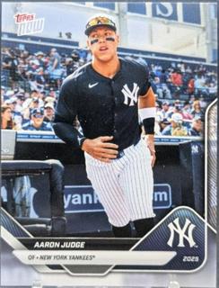 Aaron Judge