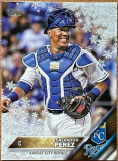 Salvador Perez
