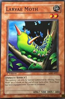 Larvae Moth MRD-E007