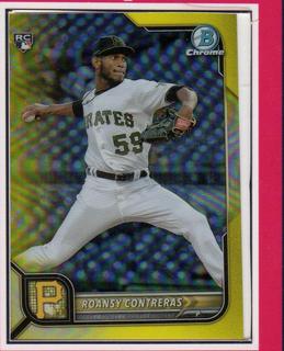 Roansy Contreras