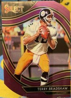 Terry Bradshaw
