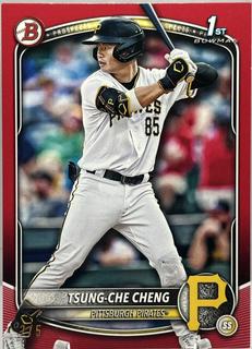 Tsung-Che Cheng
