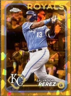 Salvador Perez