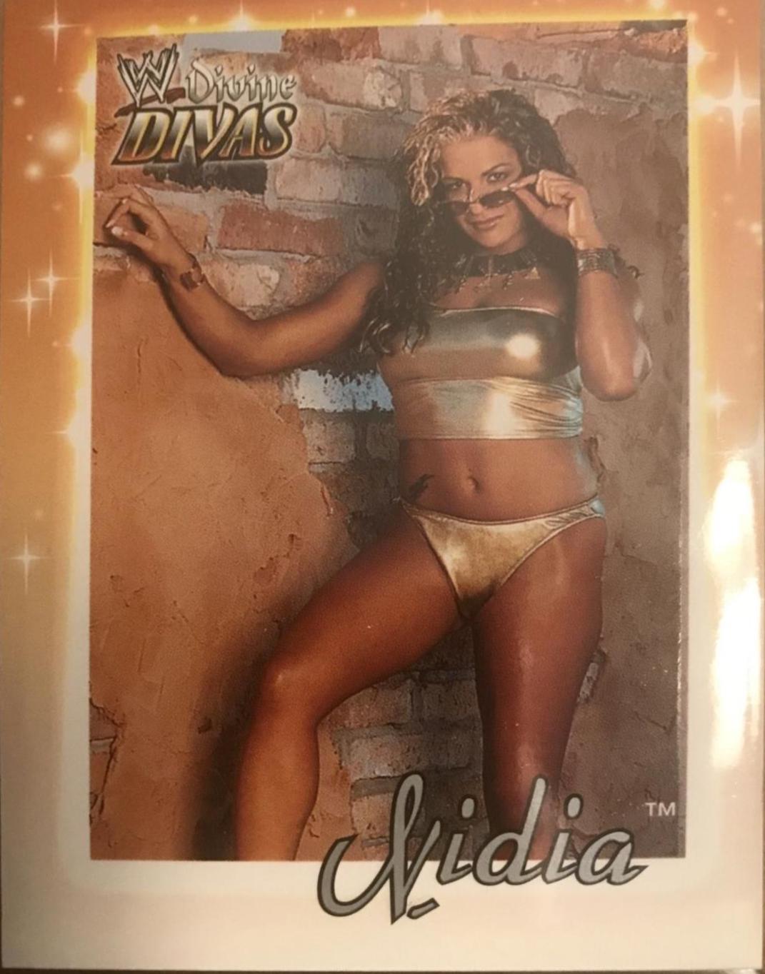 Nidia #45 Wrestling Cards 2003 Fleer WWE Divine Divas